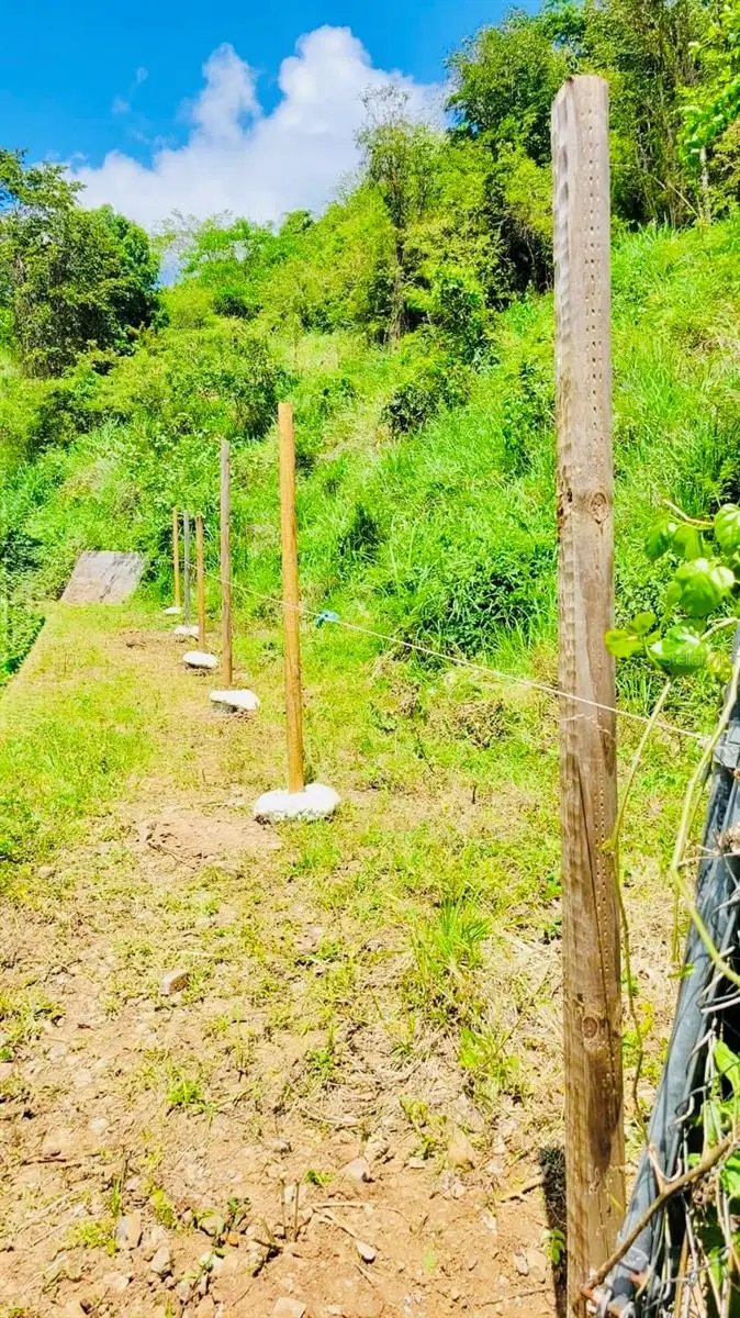 14 Route #KM 41.0, Coamo, PR 00769 - #2