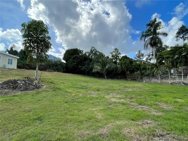 Strd 172 Km7.5, CAGUAS, PR 00725