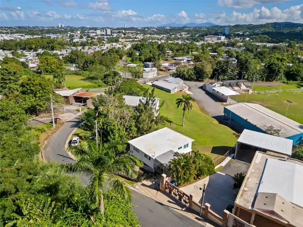 Solar 20 Camino Juanillo Fuentes Barrio Santa Rosa, GUAYNABO, PR 00971