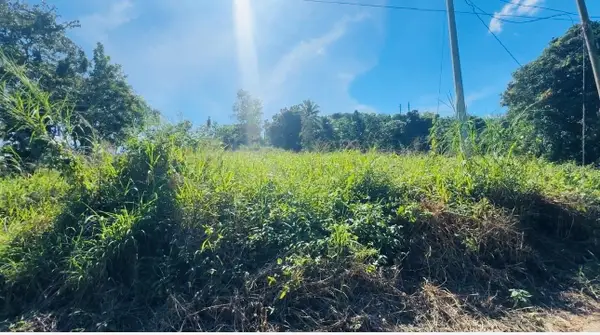 Bo Naranjo Carretera #2, Km 138.2 Int, AGUADA, PR 00602