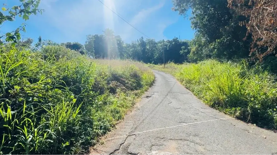 Bo Naranjo Carretera #2, Km 138.2 Int, Aguada, PR 00602 - #3