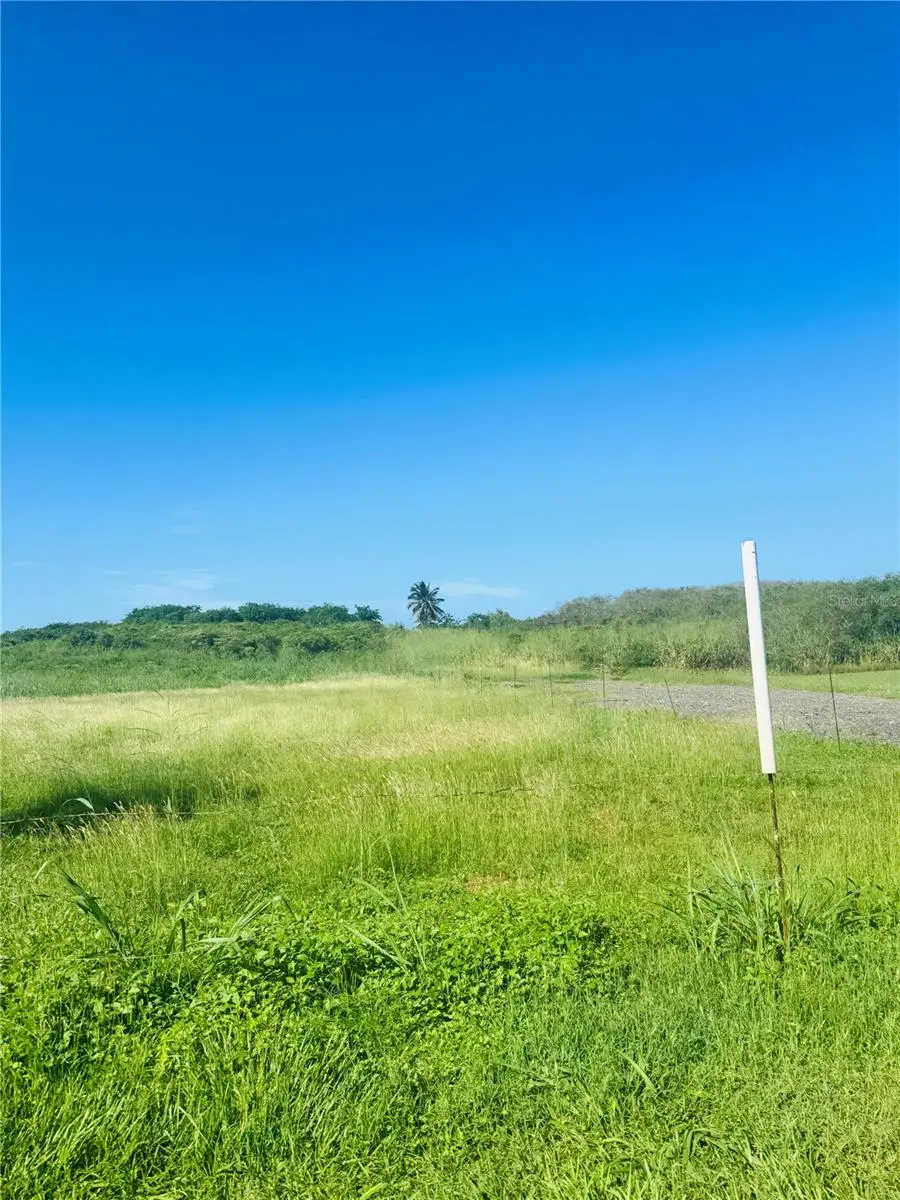 Bo Aguacate Km 31.6 (int), Pr 110, Camino A, Aguadilla, PR 00603 - #3