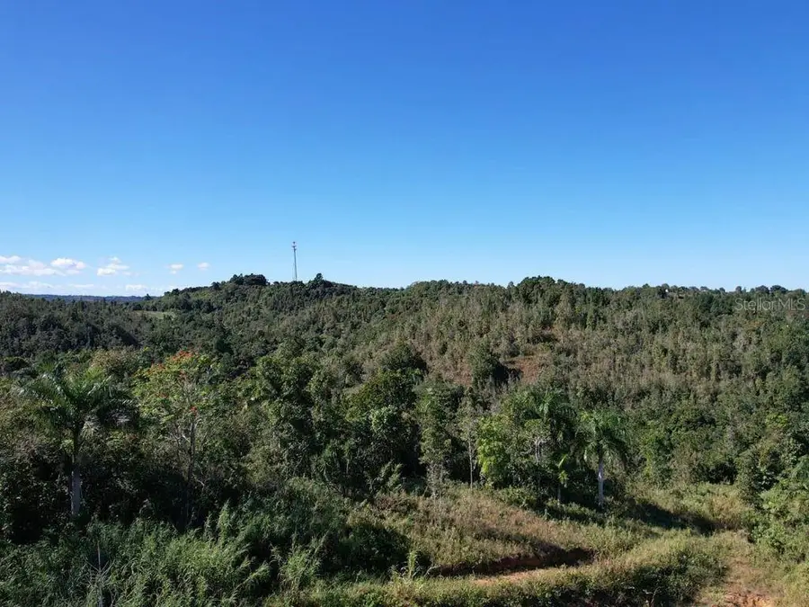 CARR 456 Bo. Guajataca Carr 456 Km 1.3 Quebradillas, Quebradillas, PR 00678 - #3