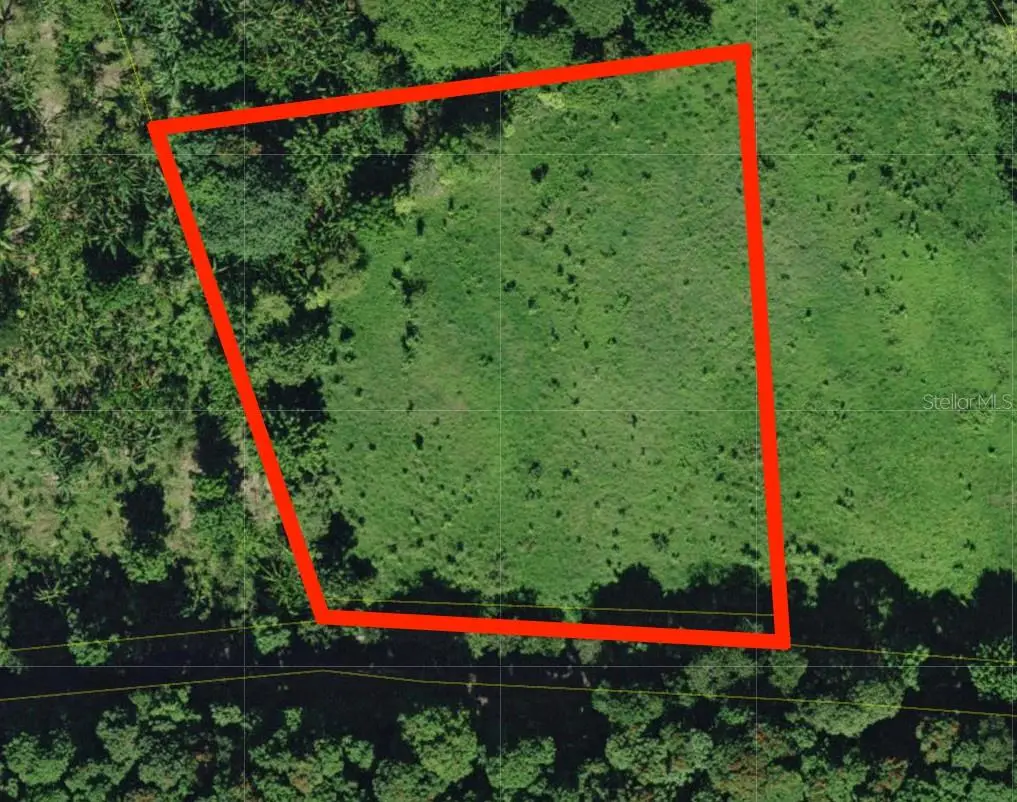 Bo. Cidral Pr-450, San Sebastian, PR 00685 - #1