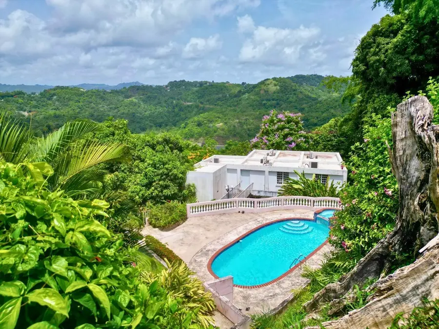 D 17 Sunset Hills, Guaynabo, PR 00970 - #3