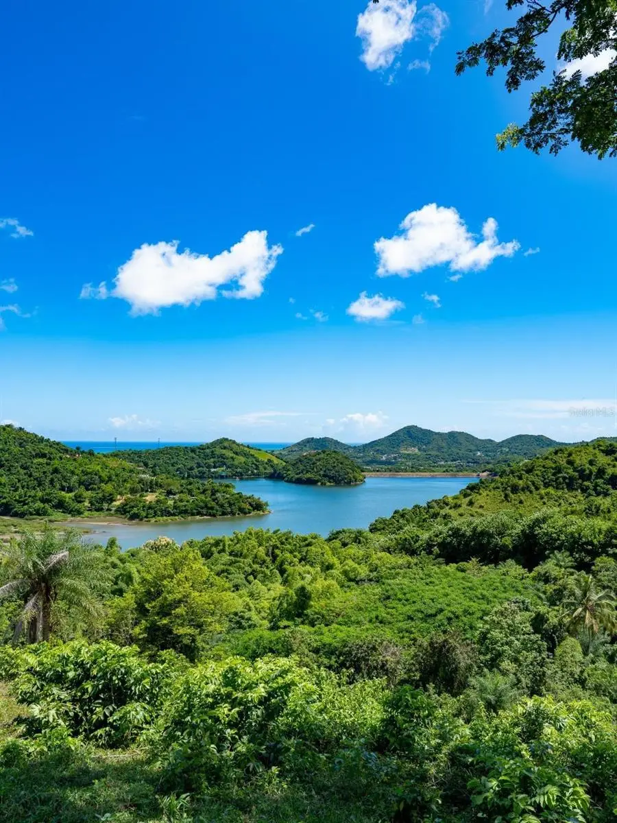 7759 Ramal #KM 03, Patillas, PR 00723 - Image #3