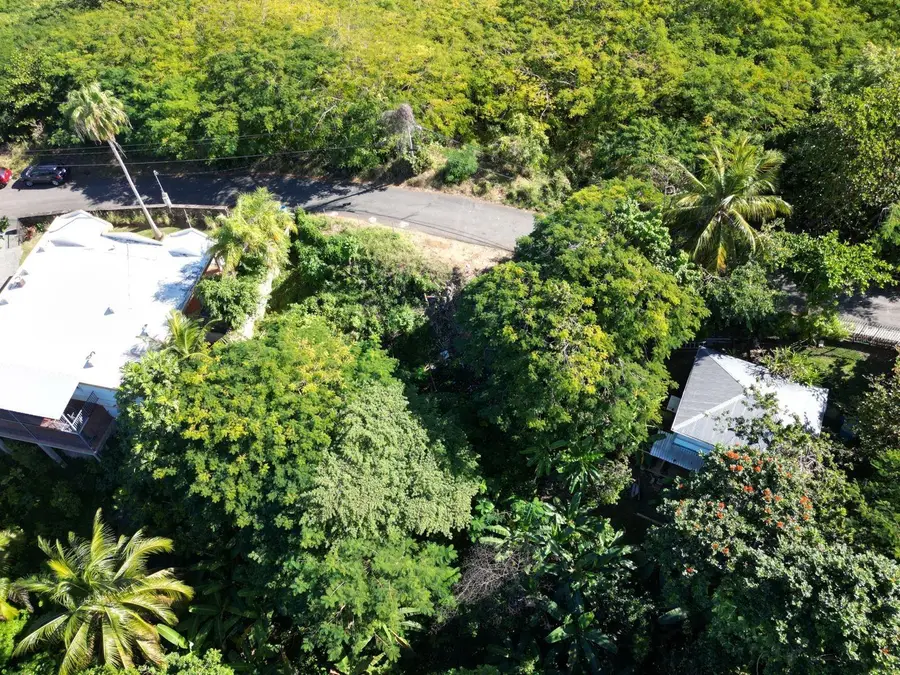 Carr 413 Km 4.4, Rincon, PR 00677 - Image #3