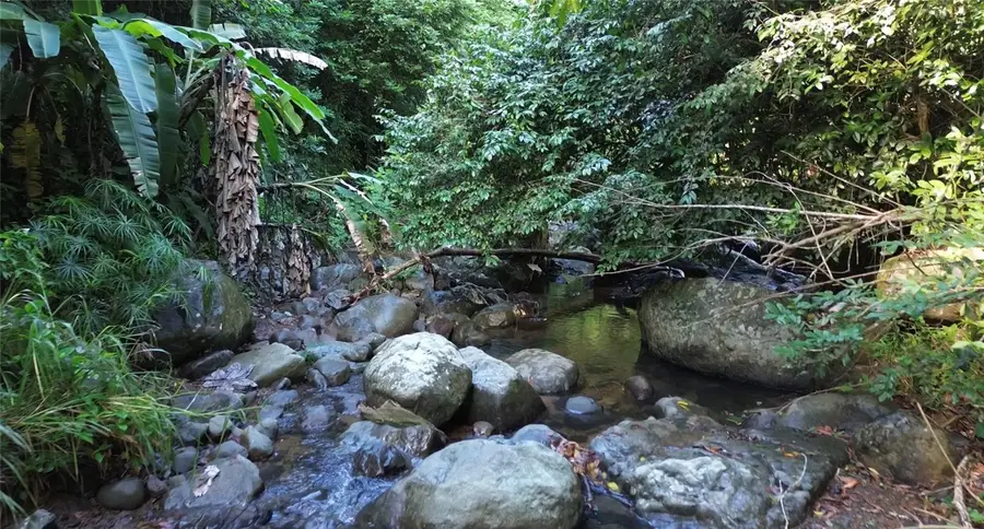 Cam. La Vega, Orocovis, PR 00720 - #2