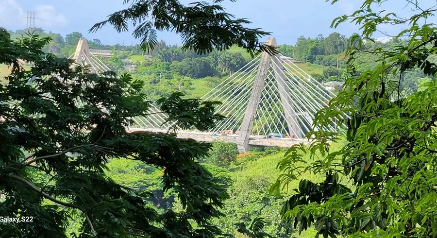 Carretera 826 Km 1.2 Interior, Sector Hatito, Naranjito, PR 00719 - #2