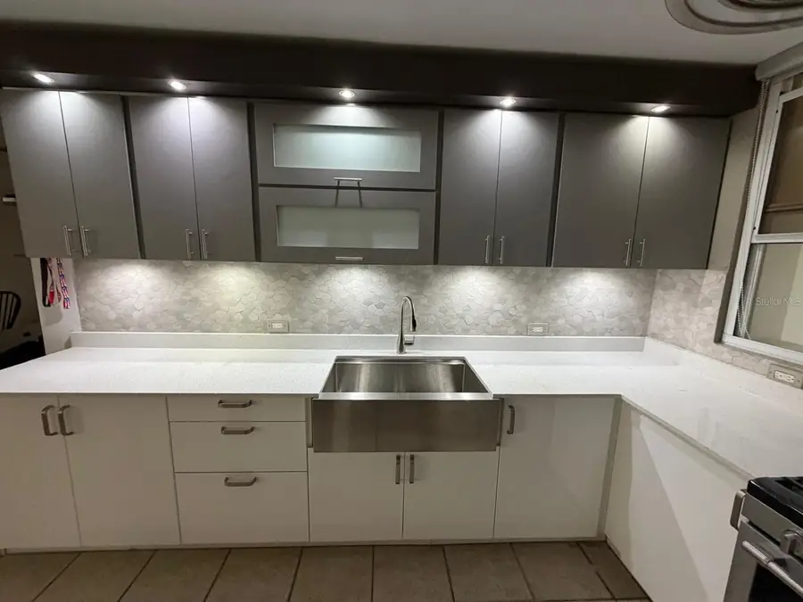 F6 Persa St. Jardin Dorado, Dorado, PR 00646 - #3