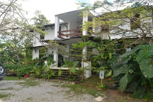 Pitahaya Camino Los Polacos, LUQUILLO, PR 00773