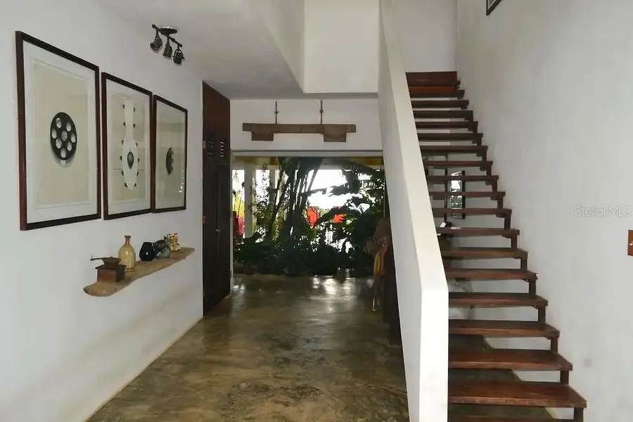 Pitahaya Camino Los Polacos, Luquillo, PR 00773 - Image #3