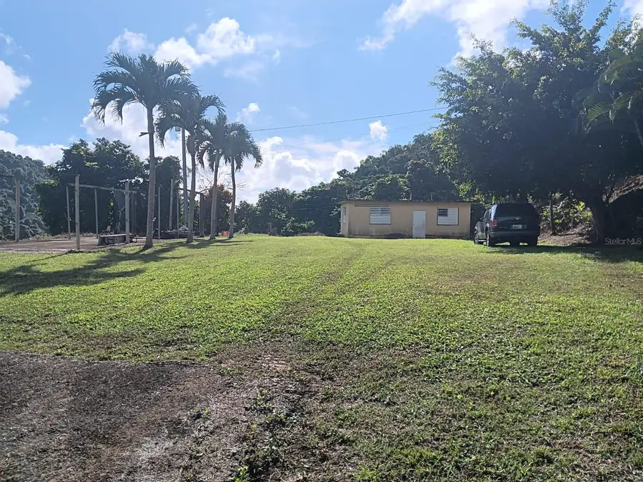 Carr 184 Bo. Mulas, Patillas, PR 00723 - Image #2