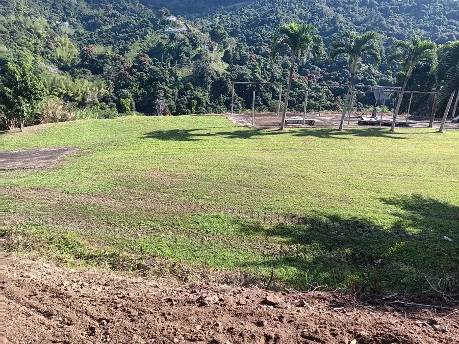 Carr 184 Bo. Mulas, Patillas, PR 00723 - Image #3