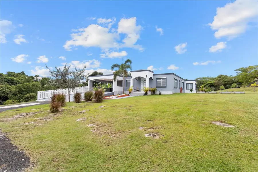 Carr 6645 Sec.narvaez, Morovis, PR 00687 - #2