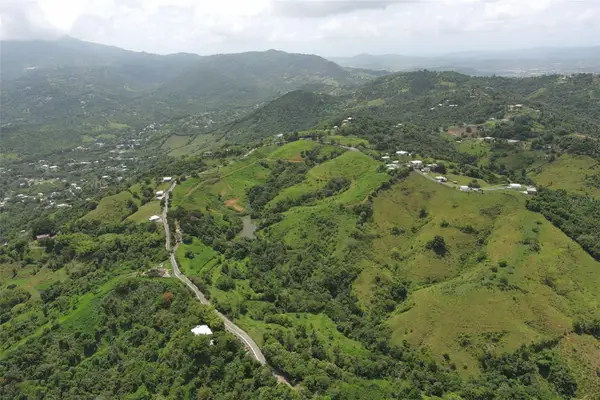 Finca Morales Bo. Barrazas, CAROLINA, PR 00987