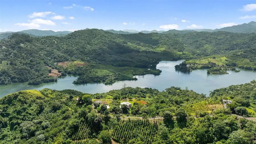 4428 Km 3.1 Int, Lares, PR 00669 - #2