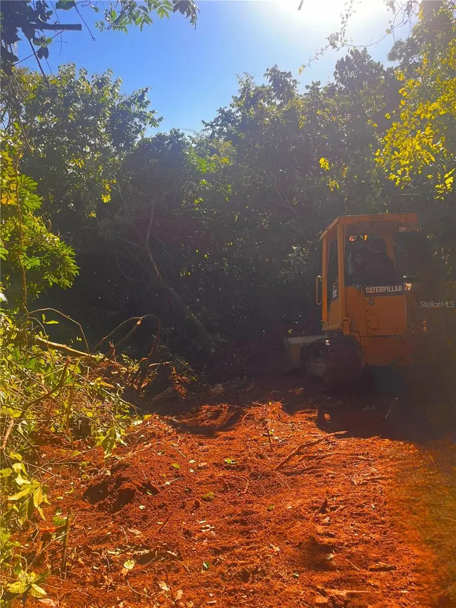 Solar 27 Barrio Cordillera, Ciales, PR 00638 - Image #2