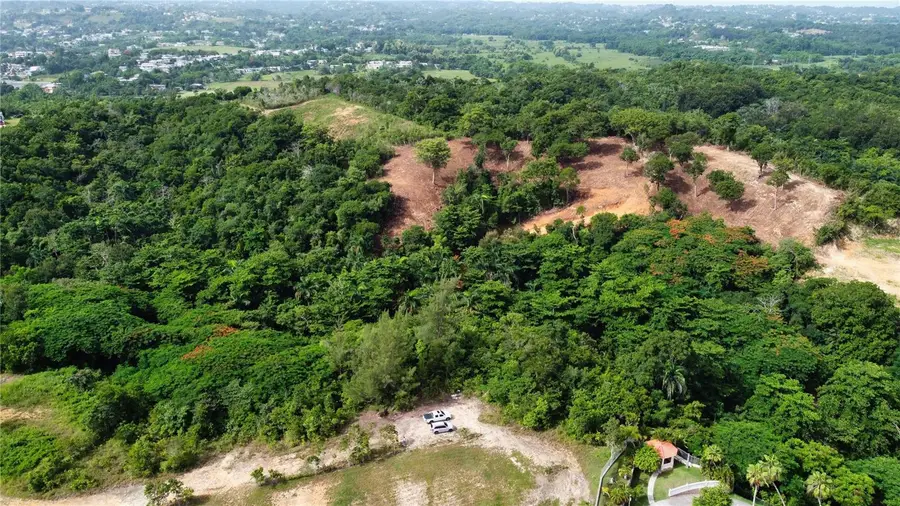 Palmar Novoa, Aguada, PR 00602 - #2