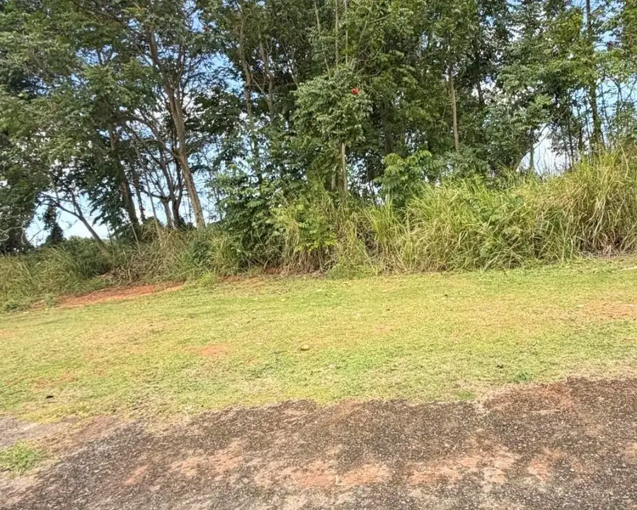 Sector Manantiales, Bo. Sabana Hoyos, Arecibo, PR 00612 - #2