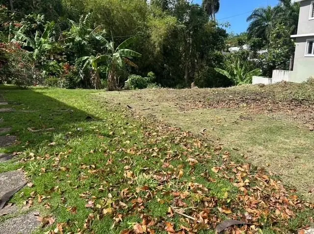 San Ignacio Dev., San Diego St. #B-17, San Juan, PR 00926 - #3