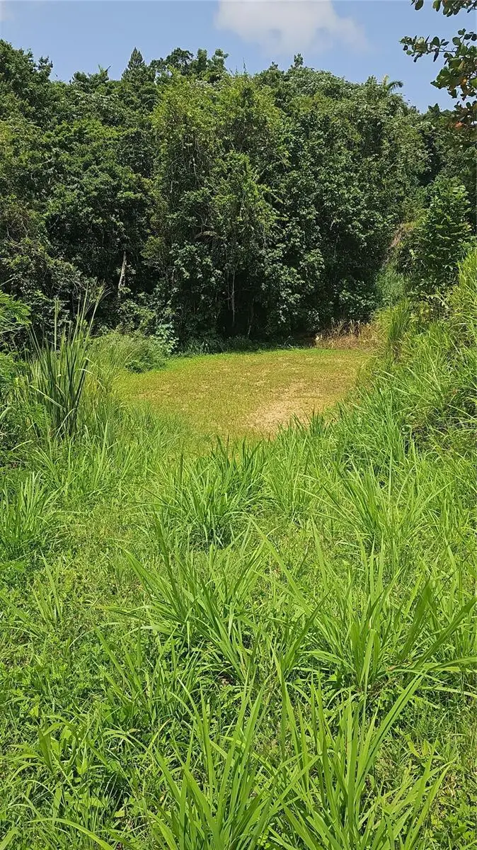 Lote #7 Bo Montellano, Cidra, PR 00739 - #2