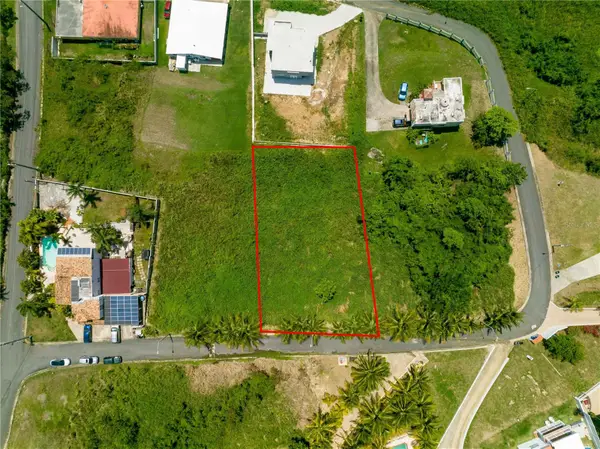 BO Mameyes Lindomar Ii #Lote 24, RIO GRANDE, PR 00745