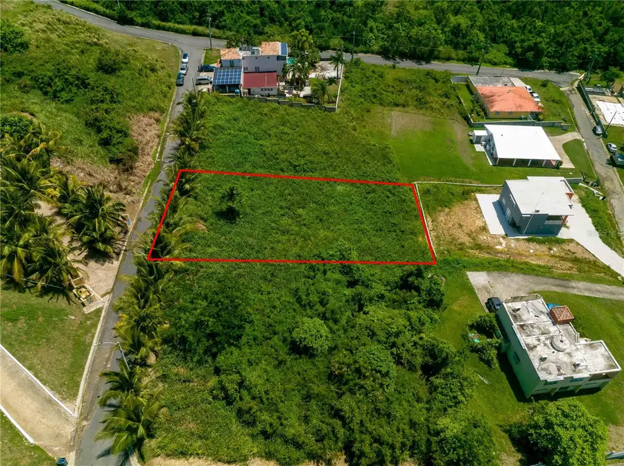 BO Mameyes Lindomar Ii #Lote 24, Rio Grande, PR 00745 - Image #3