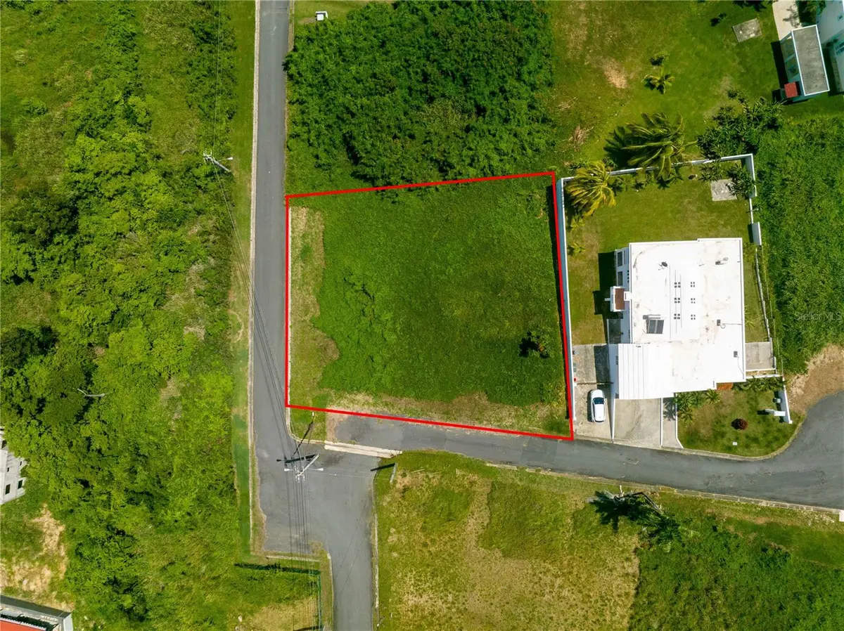 Bo MAMEYES Lindo Mar Ii #LOT 10, Rio Grande, PR 00745 - Image #1