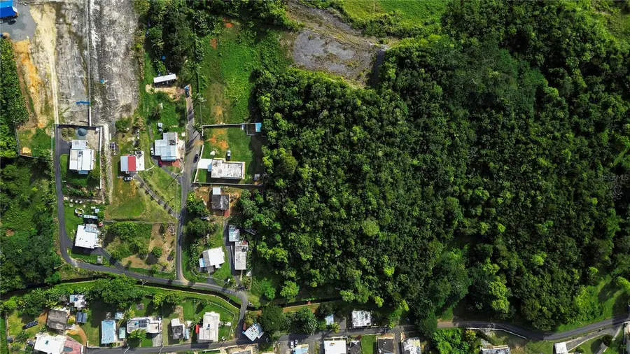 Calle Brillante Arsenales Bajos, Isabela, PR 00662 - #2