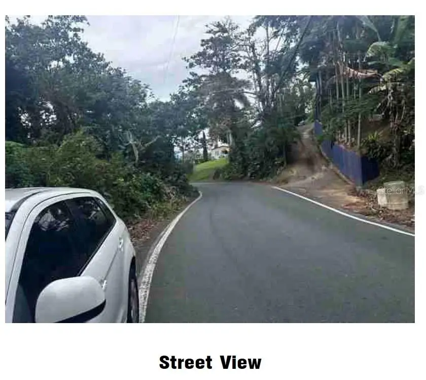 Lot P Pr 611 Km 6.4 Sabana Grande Ward, Utuado, PR 00641 - Image #3