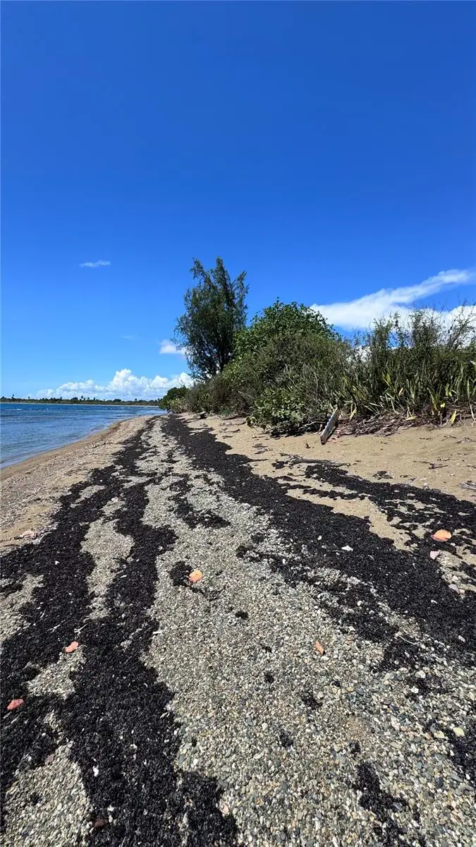 Pr-7710 #50A-C, Guayama, PR 00784 - Image #1