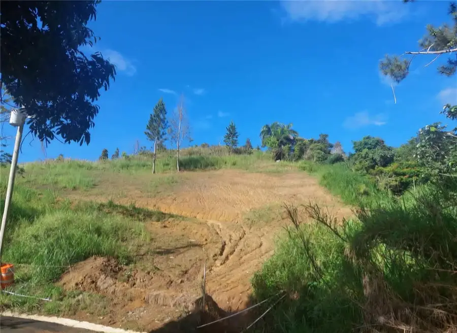 720 Palo Hincado, Barranquitas, PR 00794 - #2