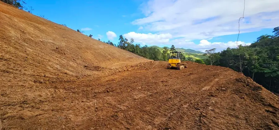 720 Palo Hincado, Barranquitas, PR 00794 - #3