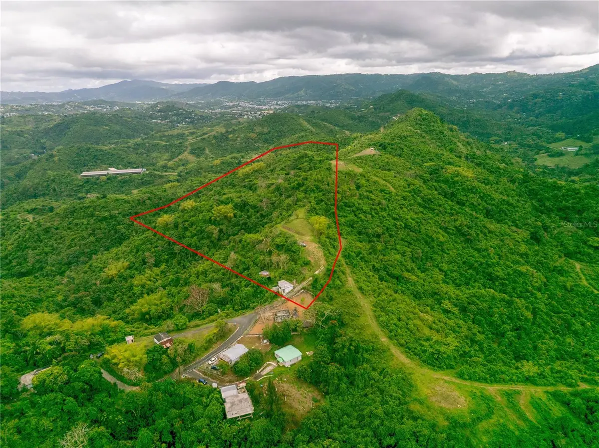 INTERIOR BO MATON ABAJO Matn Abajo, Cayey, PR 00736 - Image #1
