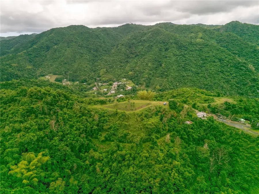 INTERIOR BO MATON ABAJO Matn Abajo, Cayey, PR 00736 - Image #2