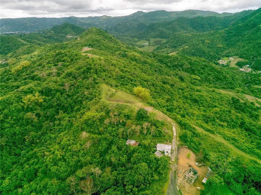 INTERIOR BO MATON ABAJO Matn Abajo, Cayey, PR 00736 - Image #3