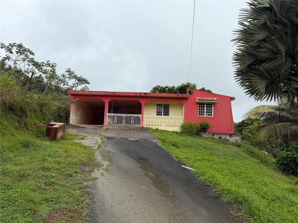 917 CARR KM 6.0 Bo Montones, Las Piedras, PR 00771 - Image #1