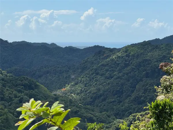 Carr 511 Anton #Lot 5, PONCE, PR 00731