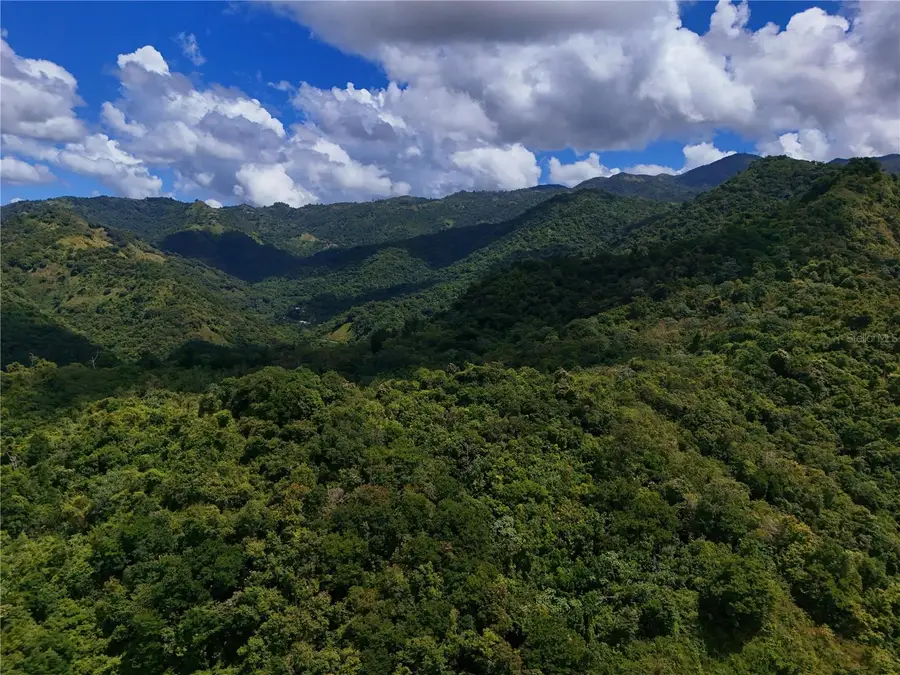 Carr 511 Anton #Lot 5, Ponce, PR 00731 - #2