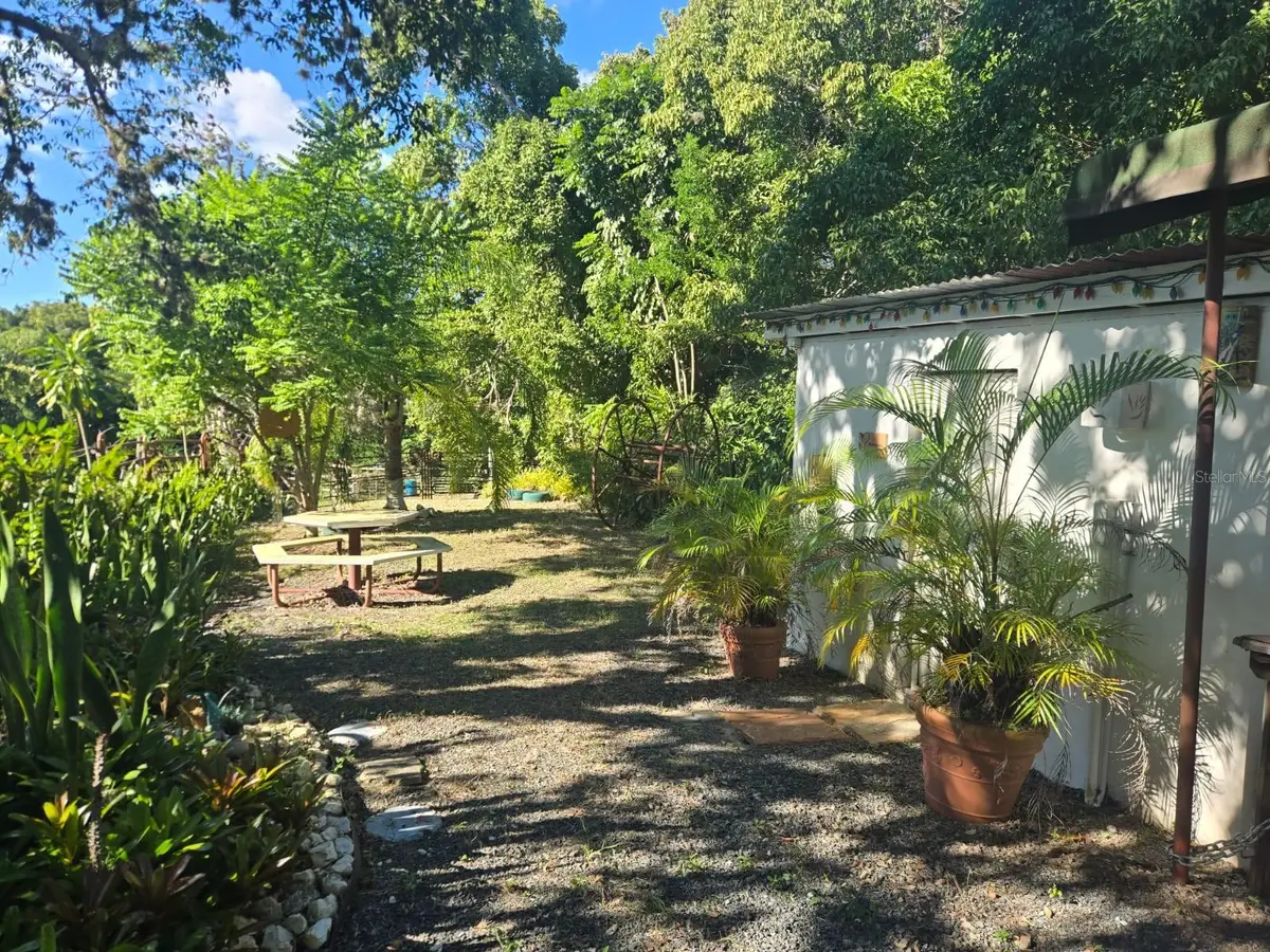 Bo. Llanos Tuna, Sector Las Magas, Cabo Rojo, PR 00623 - Image #1