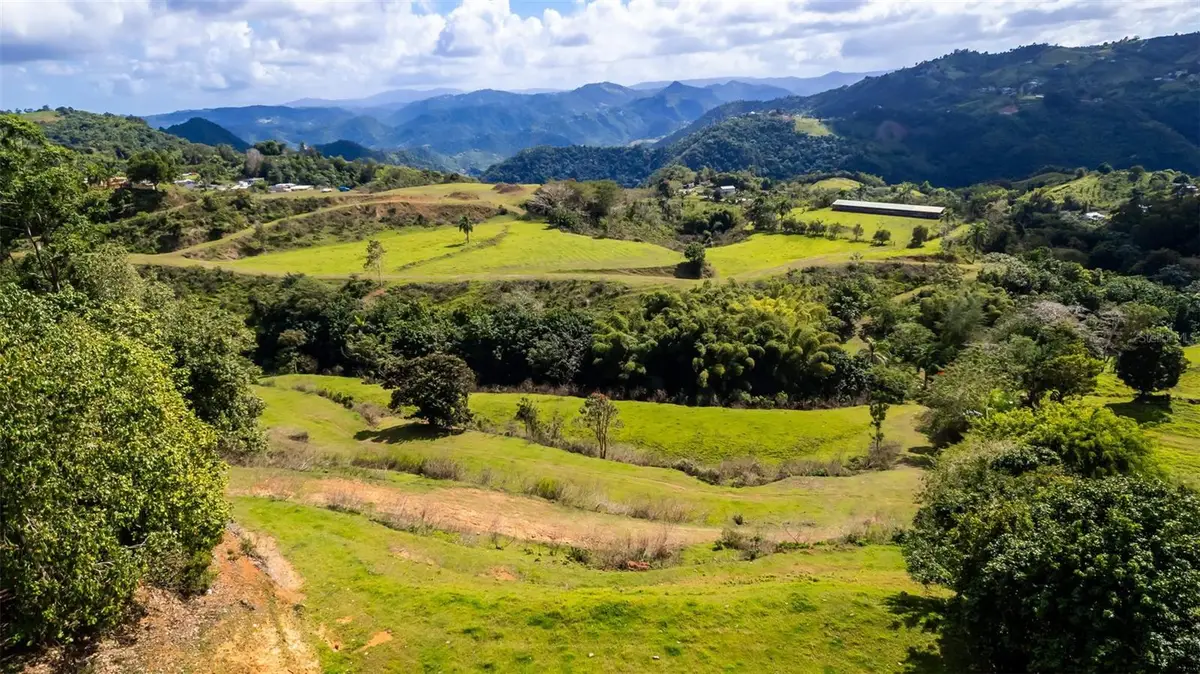 Road 152 Camino Las Orquideas Road, Barranquitas, PR 00794 - #1