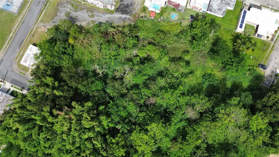 1 Calle 1, Las Piedras, PR 00771 - #3