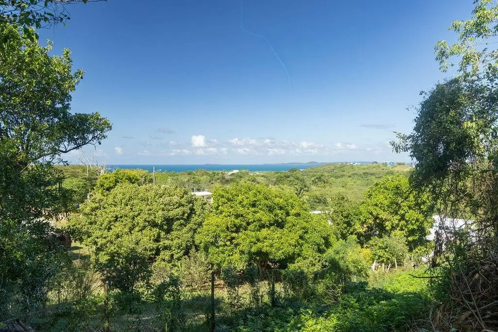 109 Santa Mara, Vieques, PR 00765 - #1