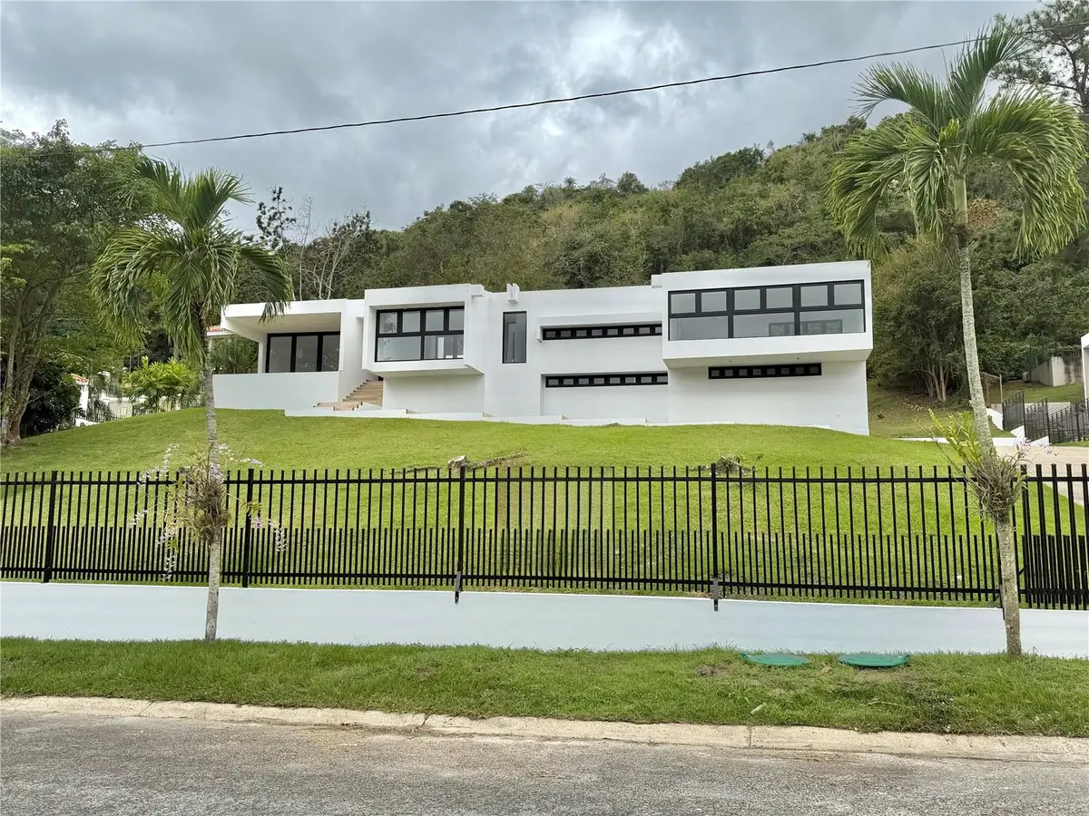 #8 Calle Industrial, Caguas, PR 00725 - #1