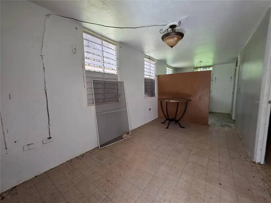 628 Bo Montana, Sect. Arsuaga, Arecibo, PR 00612 - #3