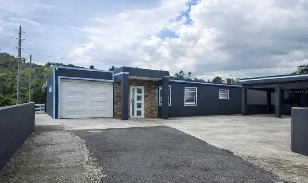 172 Rio Abajo, CIDRA, PR 00739