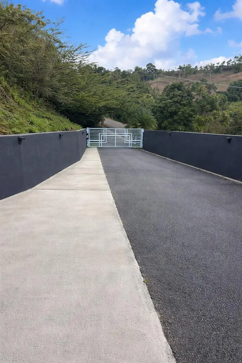 172 Rio Abajo, Cidra, PR 00739 - #2