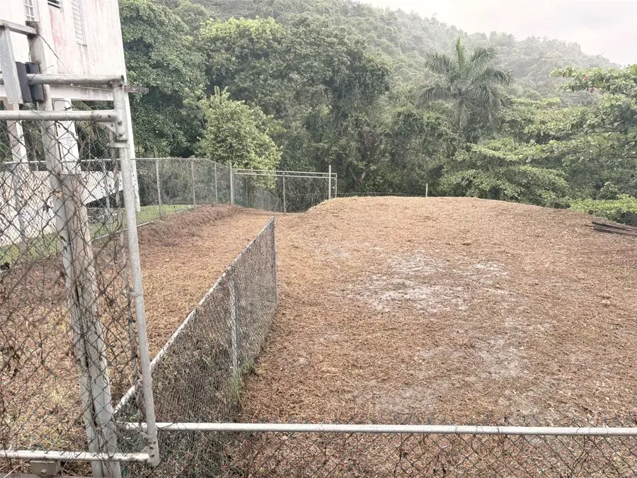 Bo Pitahaya, Luquillo, PR 00773 - #2