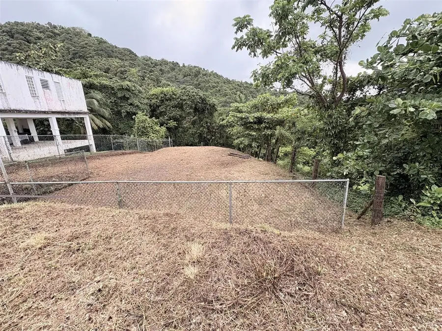 Bo Pitahaya, Luquillo, PR 00773 - #3